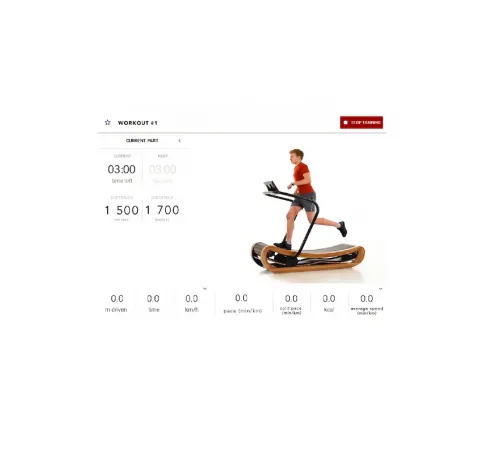 Беговая дорожка NOHrD Sprintbok