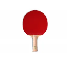 Ракетка Gambler ZEBRAWOOD CLASSIC VOLT M (коническая)